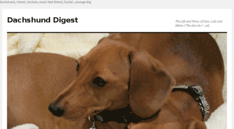 dachshunddigest.com