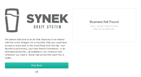 dev.syneksystem.com