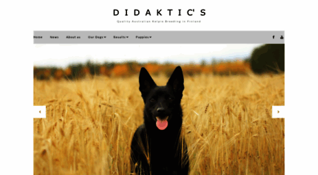 didaktics.com
