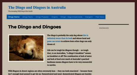 dingo.livingin-australia.com