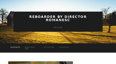 director-romanesc.com