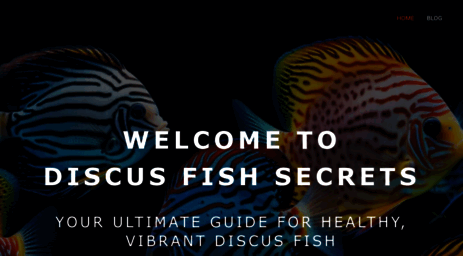 discus-fish-secrets.com