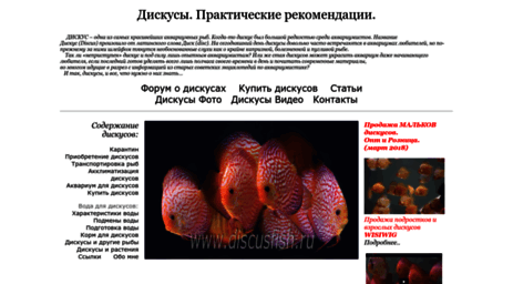 discusfish.ru