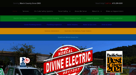 divineelectric.com