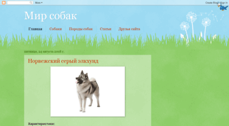 dog-ru.blogspot.com