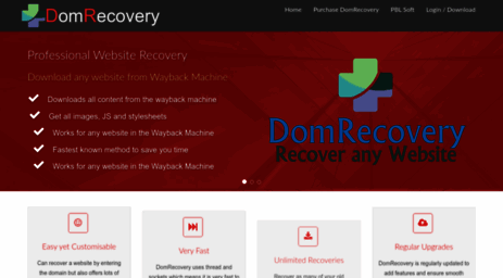 domrecovery.com