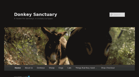 donkey-sanctuary.com