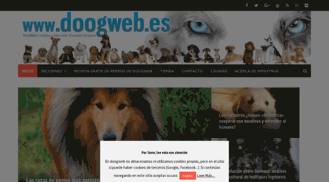 doogweb.com