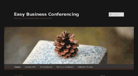 easy-conferencing.com