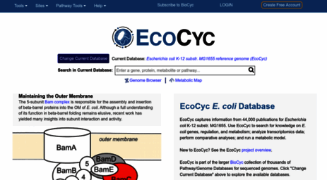 ecocyc.org