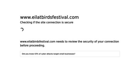 eilatbirdsfestival.com