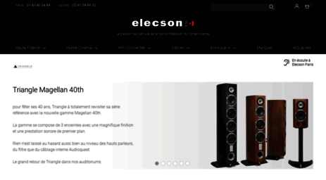 elecson.com