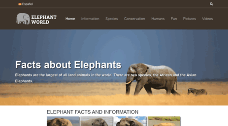 elephant-world.com
