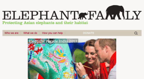 elephantfamily.org