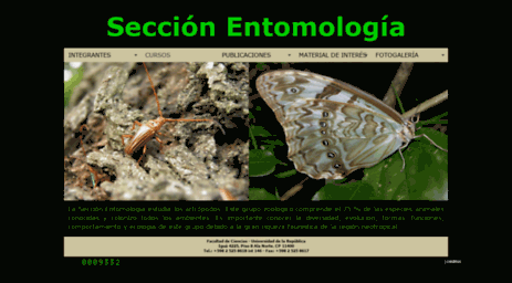 entomologia.fcien.edu.uy