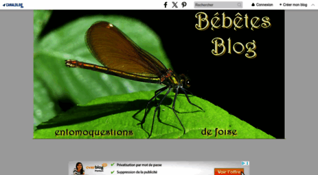 entomoquestions.canalblog.com