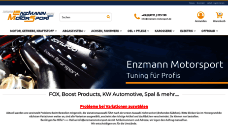 enzmannmotorsport.de