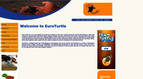euroturtle.org