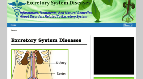 excretorysystemdiseases.com