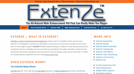 extenzework.com