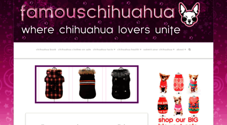 famouschihuahua.com