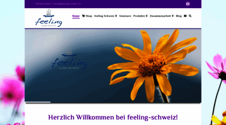 feeling-schweiz.ch