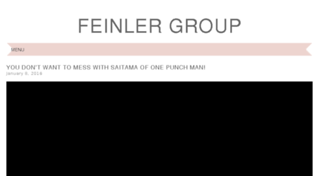 feinlergroup.com