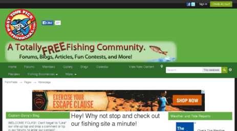 fishnfools.com