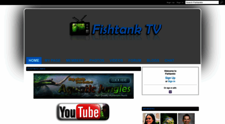 fishtanktv.com