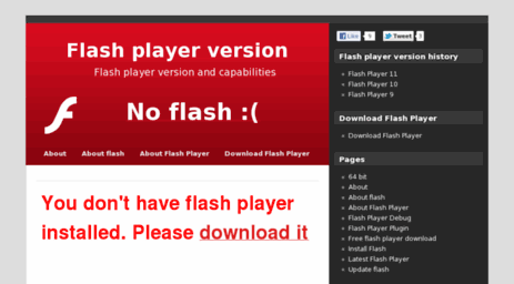 flashplayerversion.info