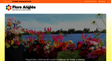 floresangles.com