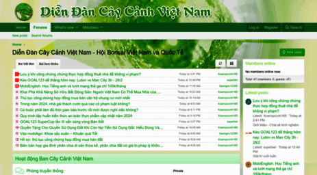 forum.caycanhvietnam.com