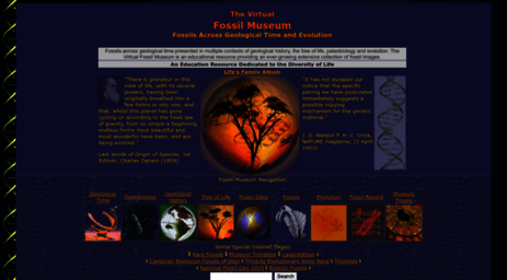 fossilmuseum.net