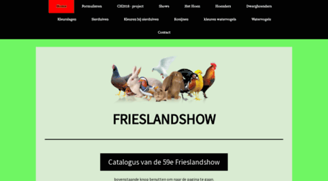 frieslandshow.nl