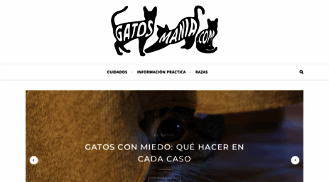 gatosmania.com