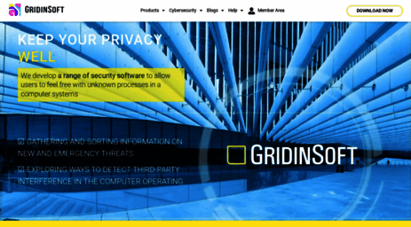 gridinsoft.com