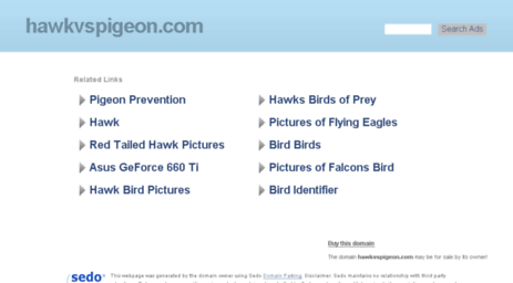 hawkvspigeon.com