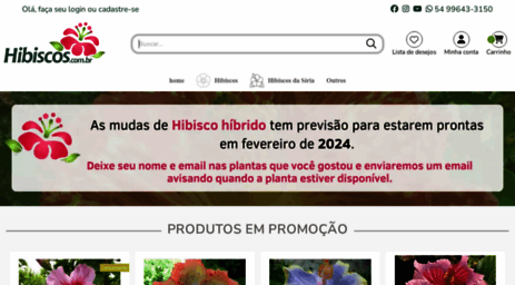 hibiscos.com.br