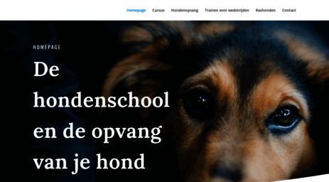 hondenschool-appel.nl
