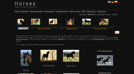 horses-photos.org