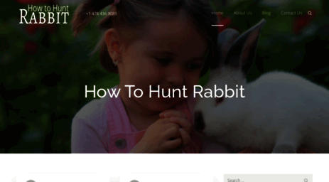 how-to-hunt-rabbit.com