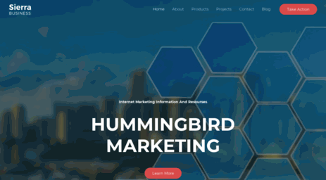 hummingbirdmarketing.com