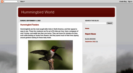 hummingbirdworld.com