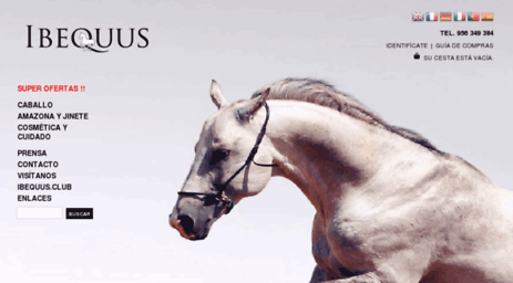 ibequus.com