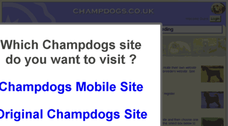 images.champdogs.co.uk