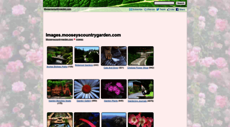 images.mooseyscountrygarden.com
