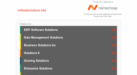 intleadsolutions.site