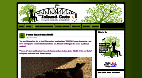 island-cats.com