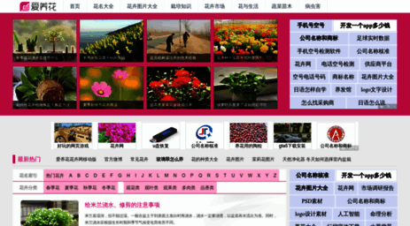 iyanghua.com