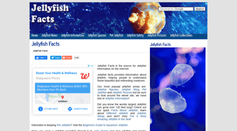 jellyfishfacts.net